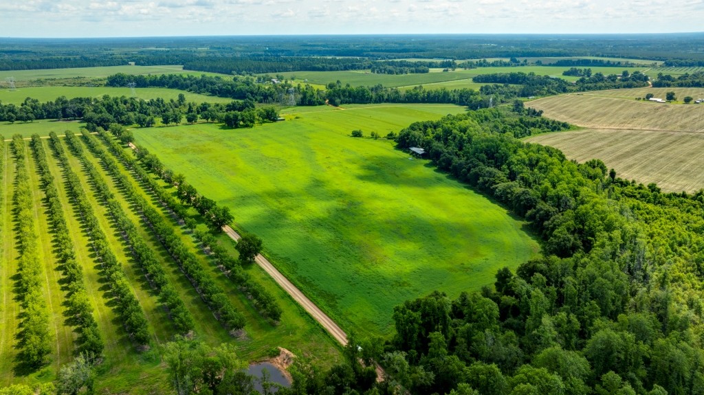 Green Acres Farm Photo