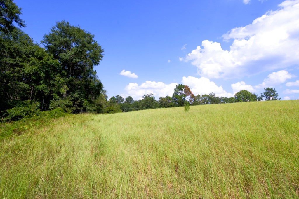 Richardson Creek Homeplace Photo
