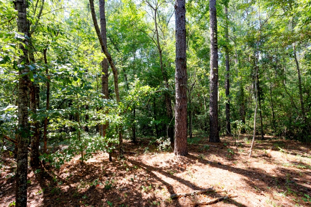 Richardson Creek Homeplace Photo