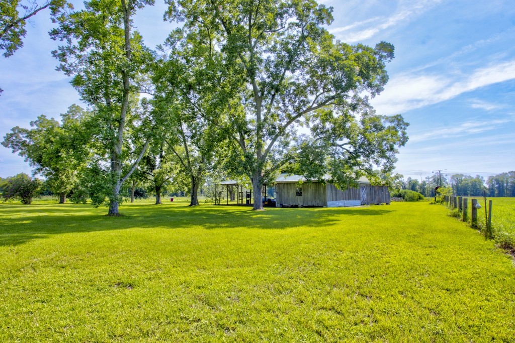 Green Acres Farm Photo