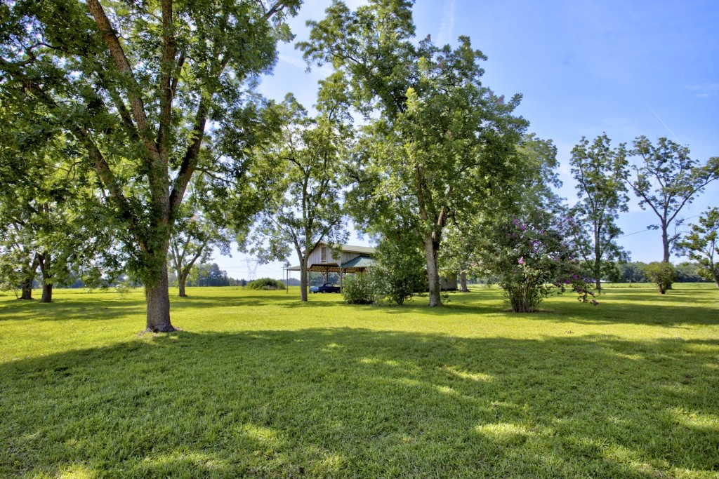 Green Acres Farm Photo