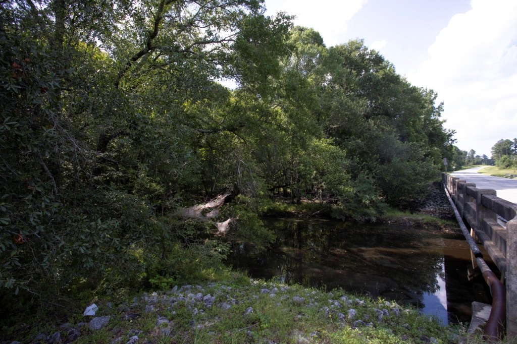 Richardson Creek Homeplace Photo