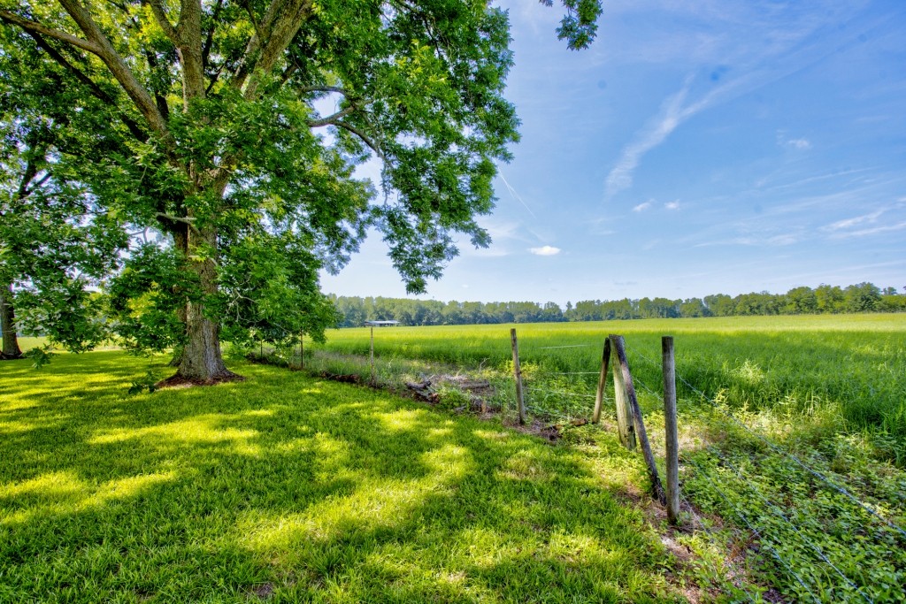 Green Acres Farm Photo