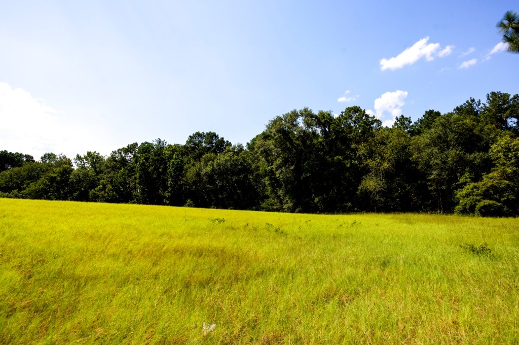 Richardson Creek Homeplace Photo