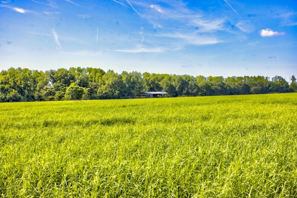 Green Acres Farm Photo