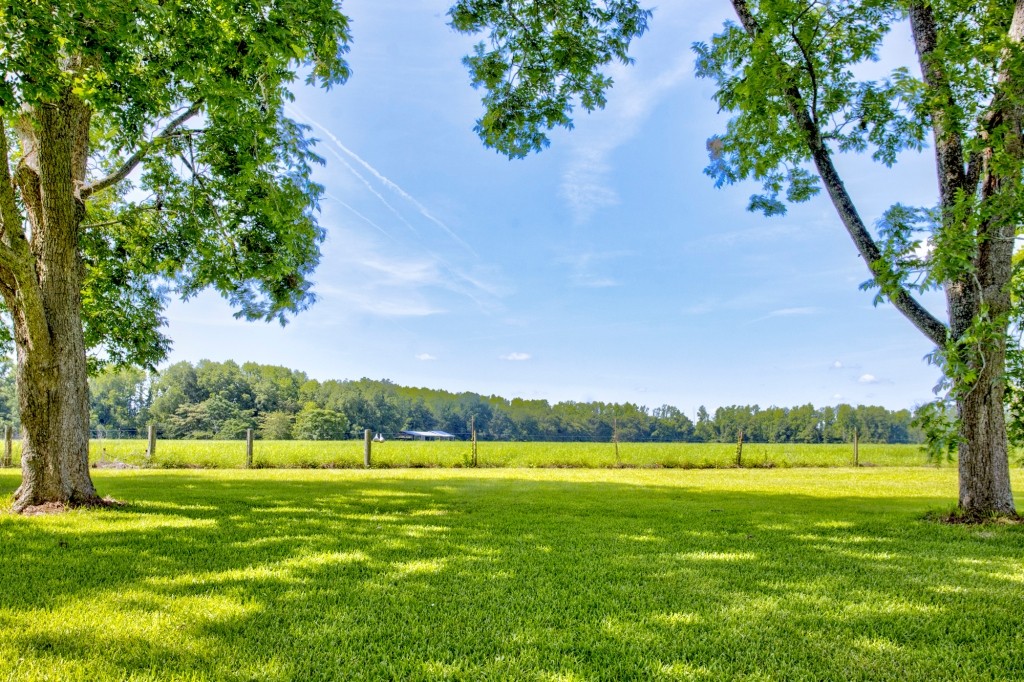 Green Acres Farm Photo