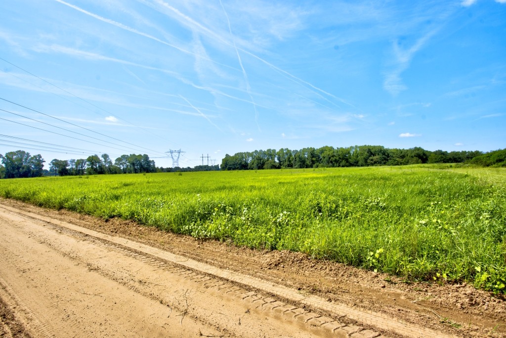 Green Acres Farm Photo
