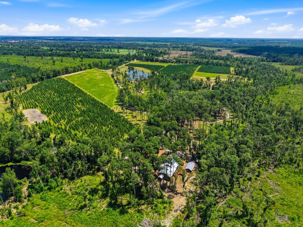 Lotts Creek Lodge Photo