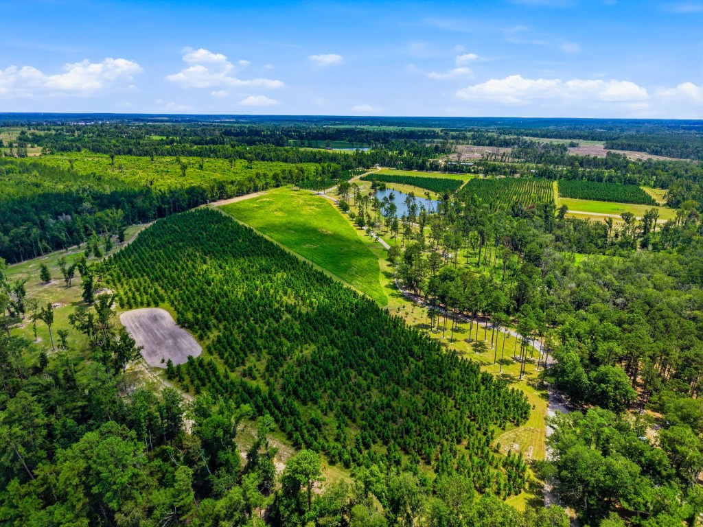 Lotts Creek Lodge Photo