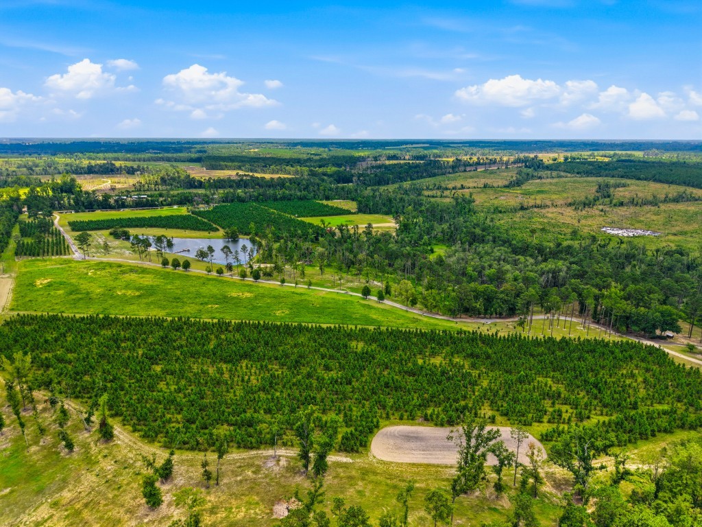 Lotts Creek Lodge Photo