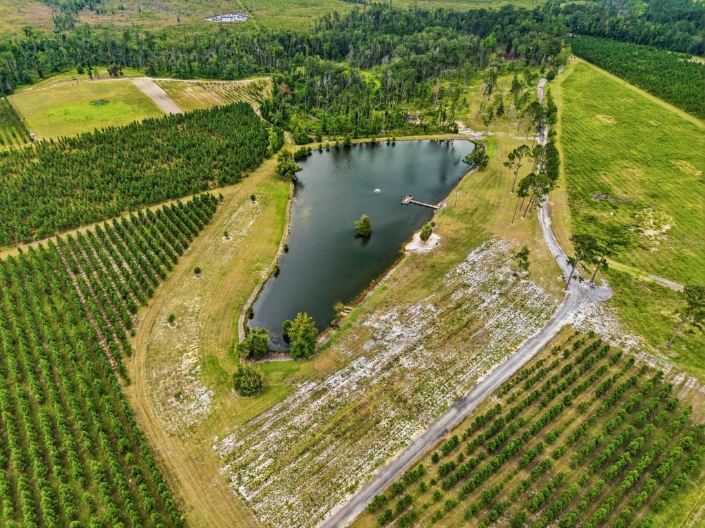 Lotts Creek Lodge Photo