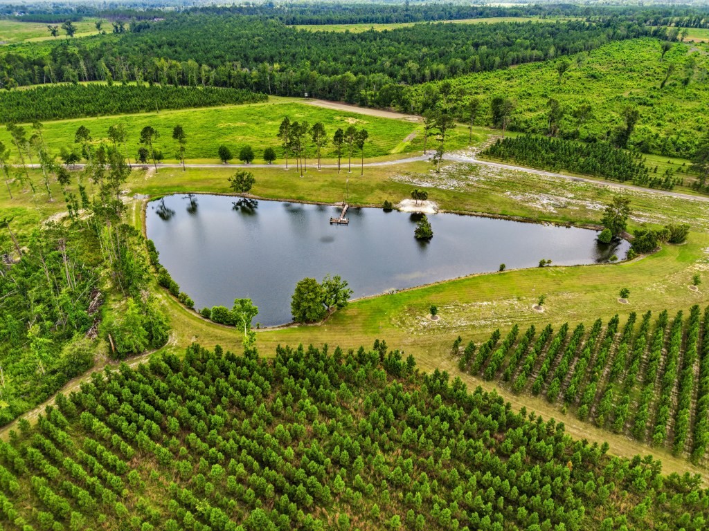 Lotts Creek Lodge Photo