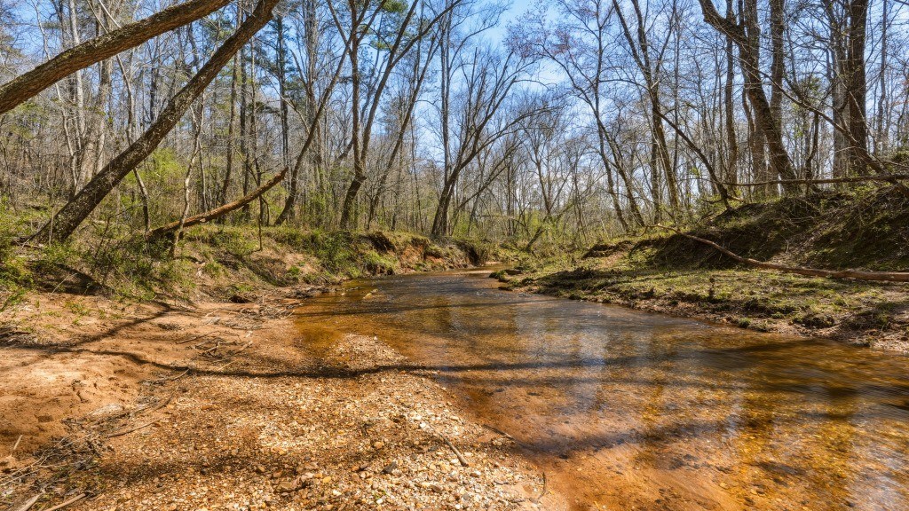 Etowah River & Yellow Creek Farm Photo