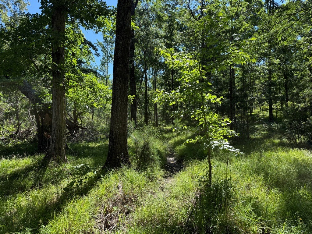 Augusta Hwy Retreat Photo