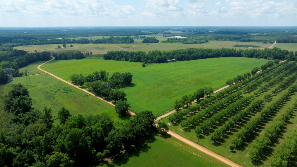 Green Acres Farm Photo