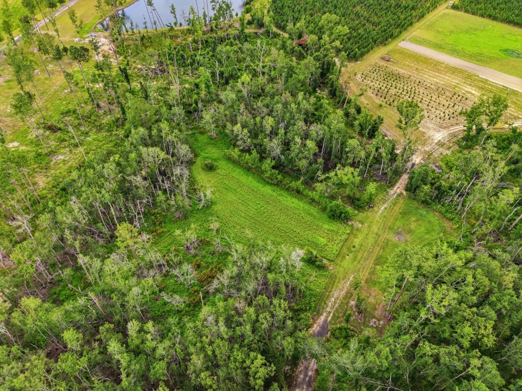 Lotts Creek Lodge Photo