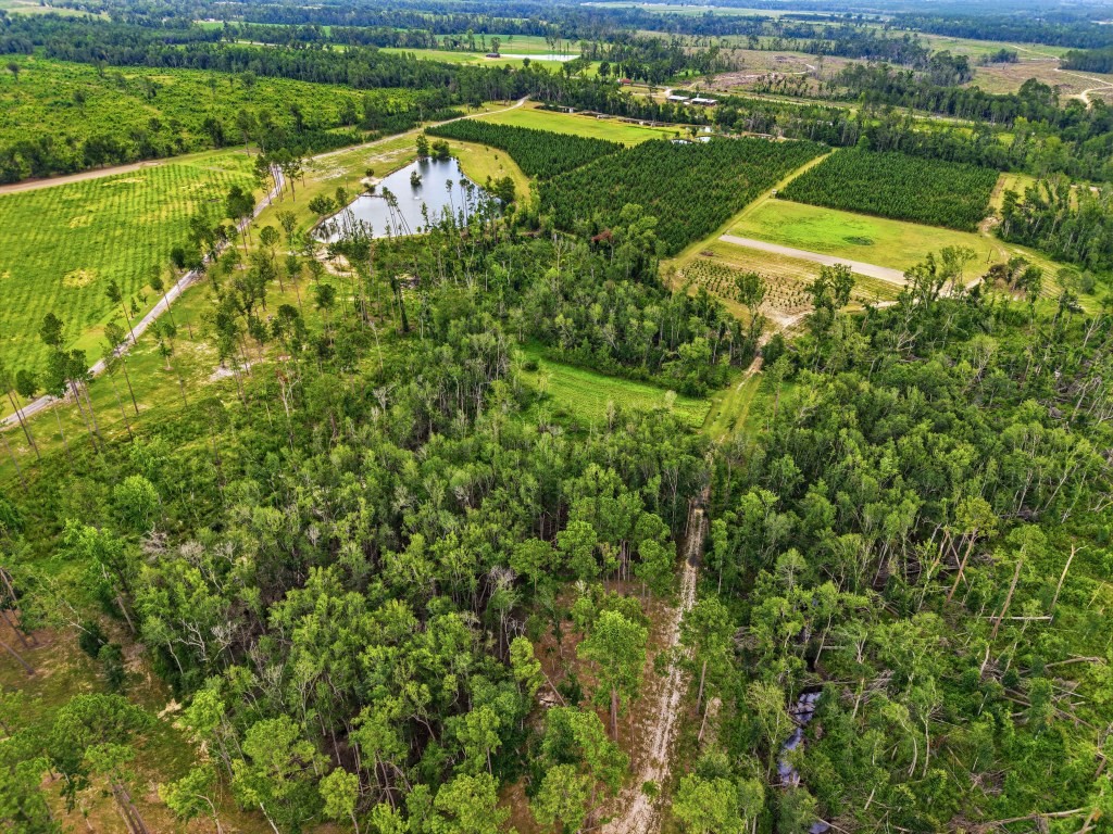 Lotts Creek Lodge Photo