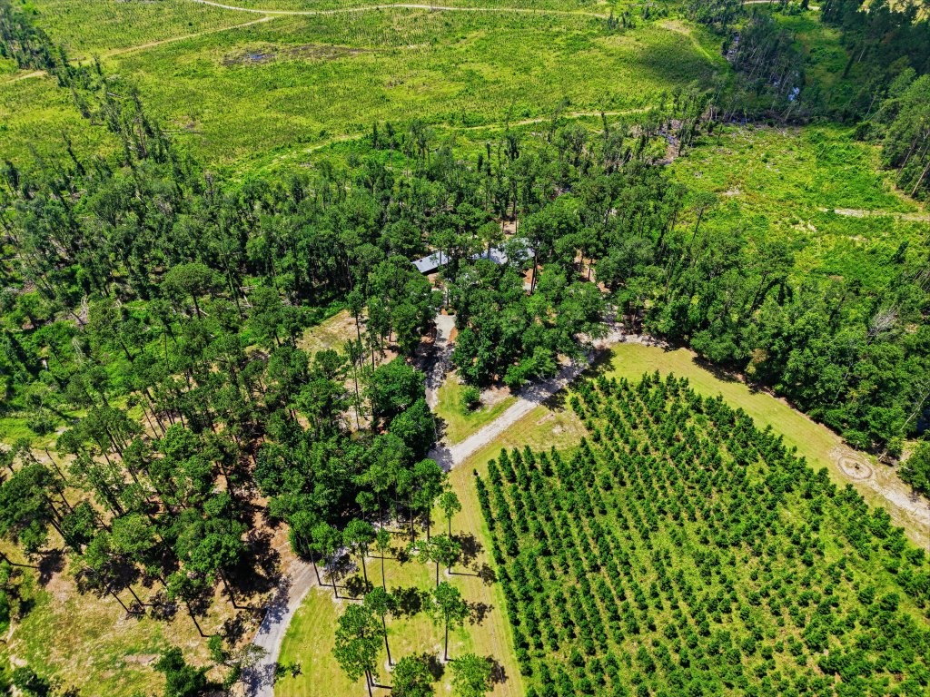 Lotts Creek Lodge Photo