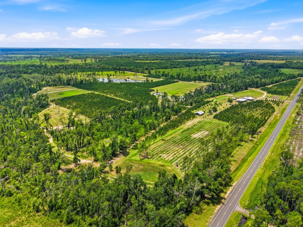 Lotts Creek Lodge Photo