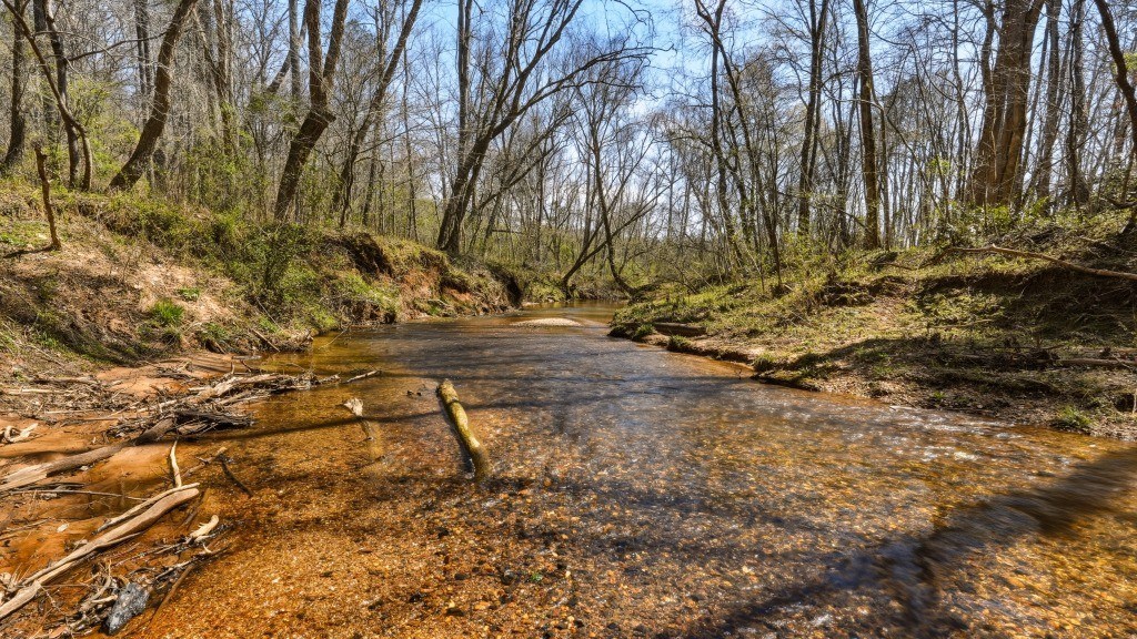 Etowah River & Yellow Creek Farm Photo