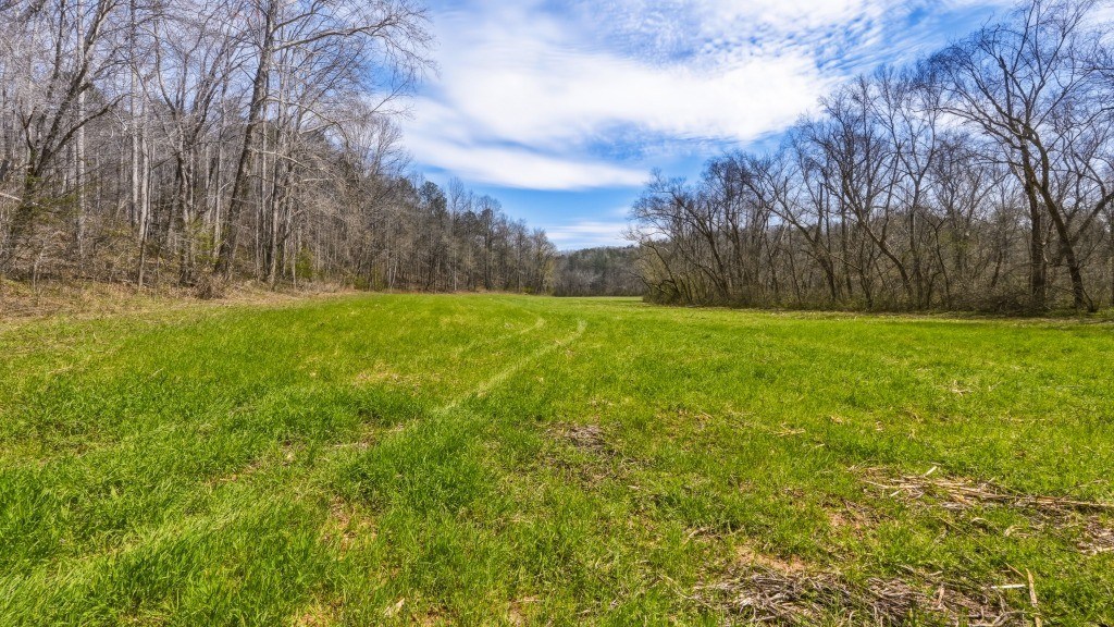 Etowah River Homeplace Photo