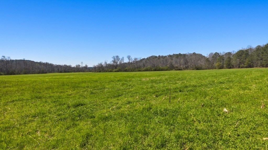 Etowah River & Yellow Creek Farm Photo