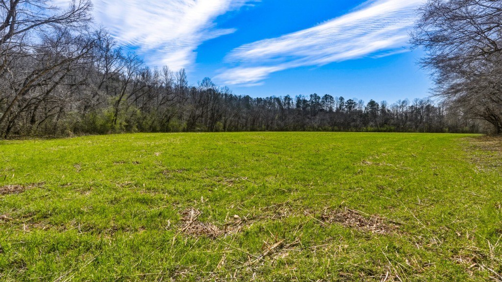Etowah River Homeplace Photo