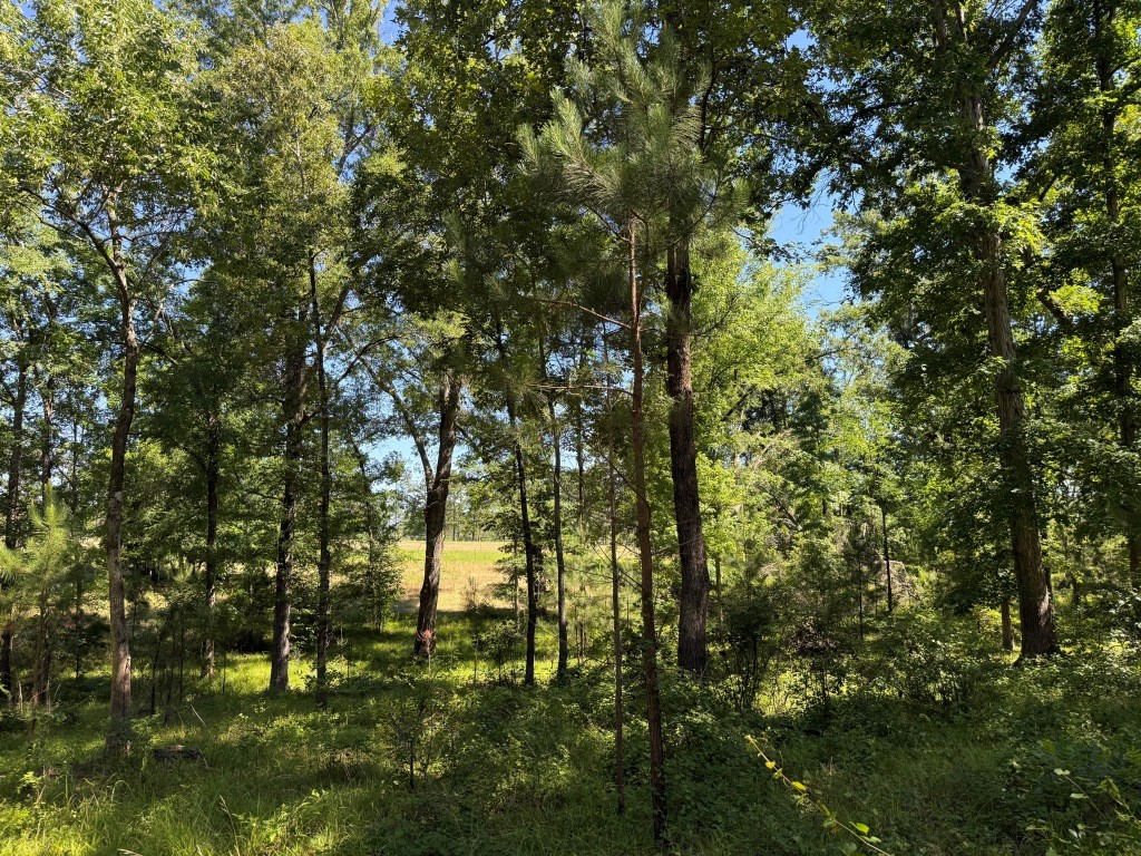 Augusta Hwy Retreat Photo