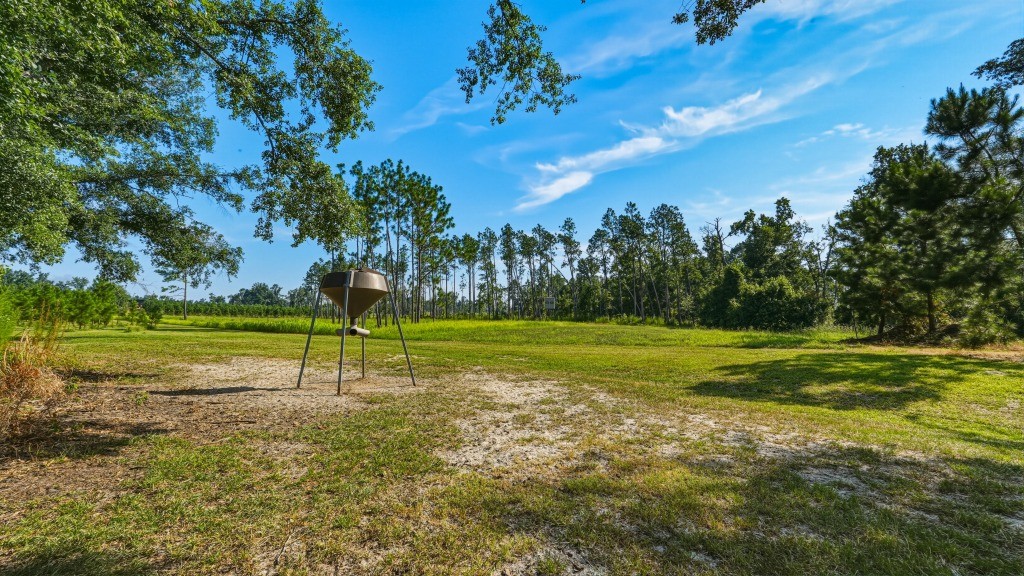 Lotts Creek Lodge Photo