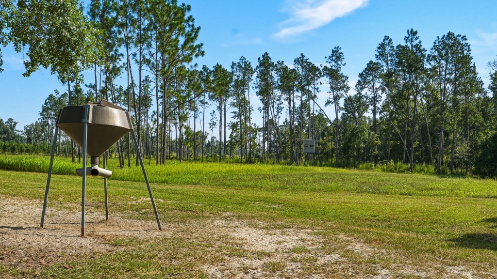 Lotts Creek Lodge Photo