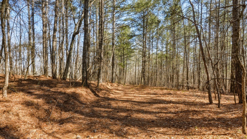 Etowah River Homeplace Photo
