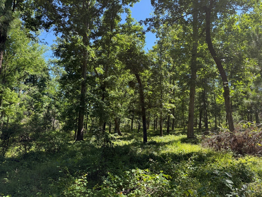 Augusta Hwy Retreat Photo