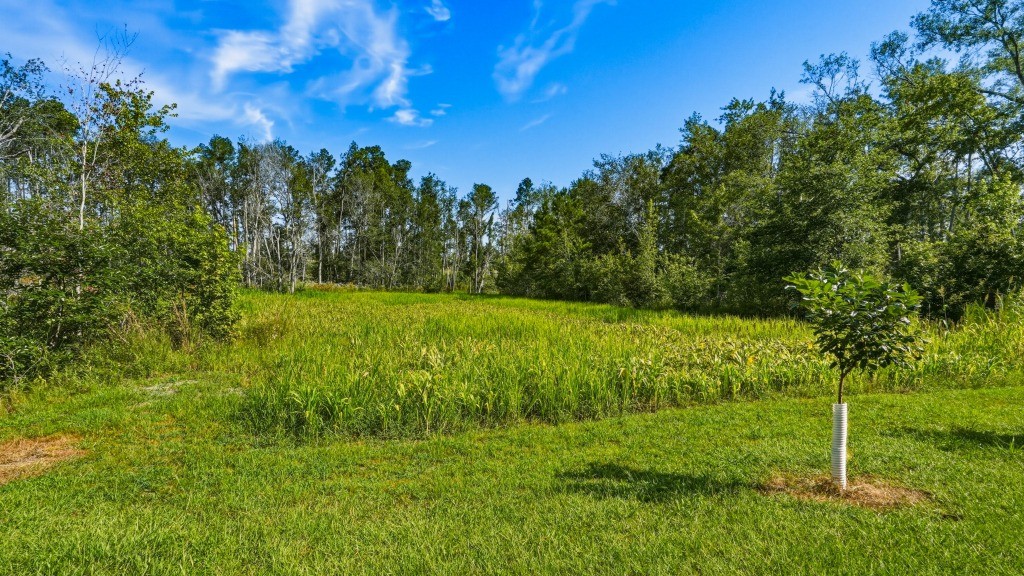 Lotts Creek Lodge Photo
