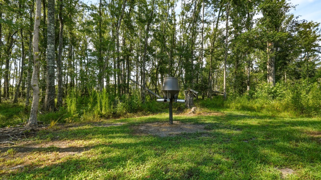 Lotts Creek Lodge Photo