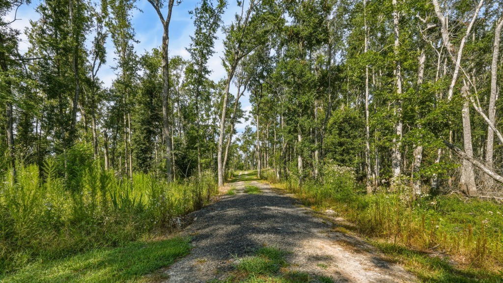 Lotts Creek Lodge Photo