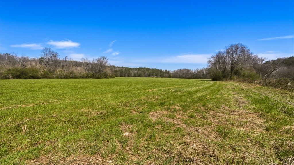 Etowah River & Yellow Creek Farm Photo