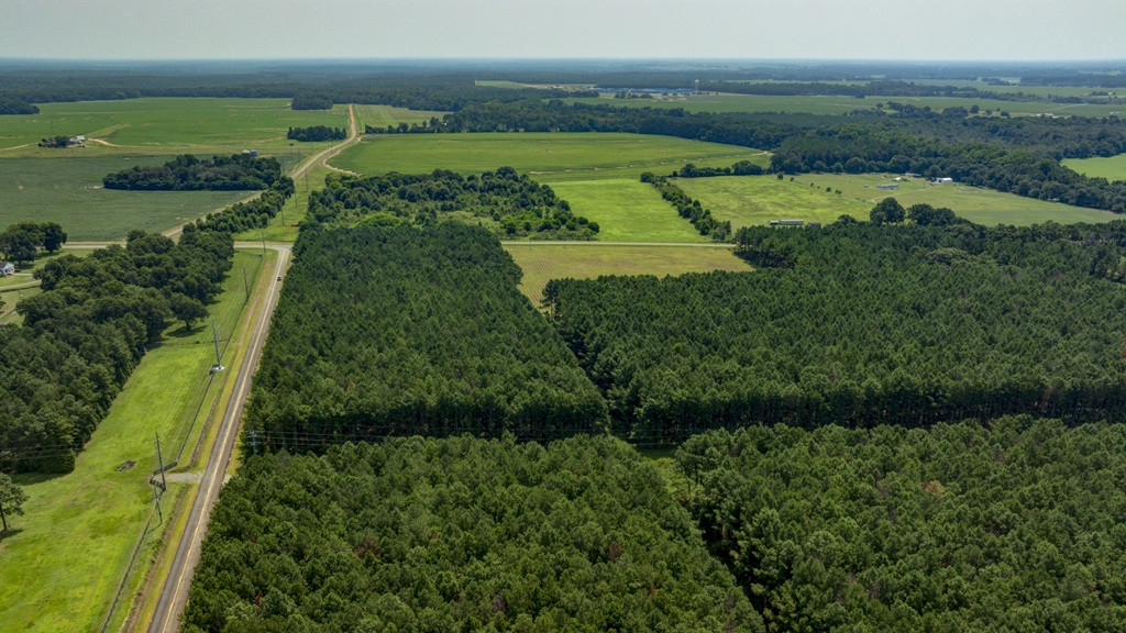 Countyline Road Photo