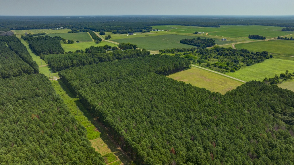 Countyline Road Photo