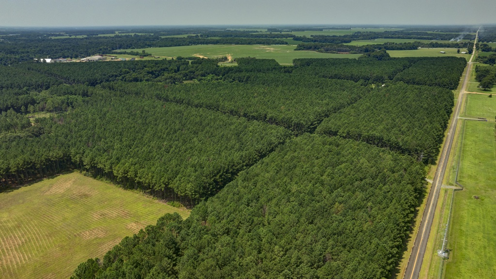 Countyline Road Photo