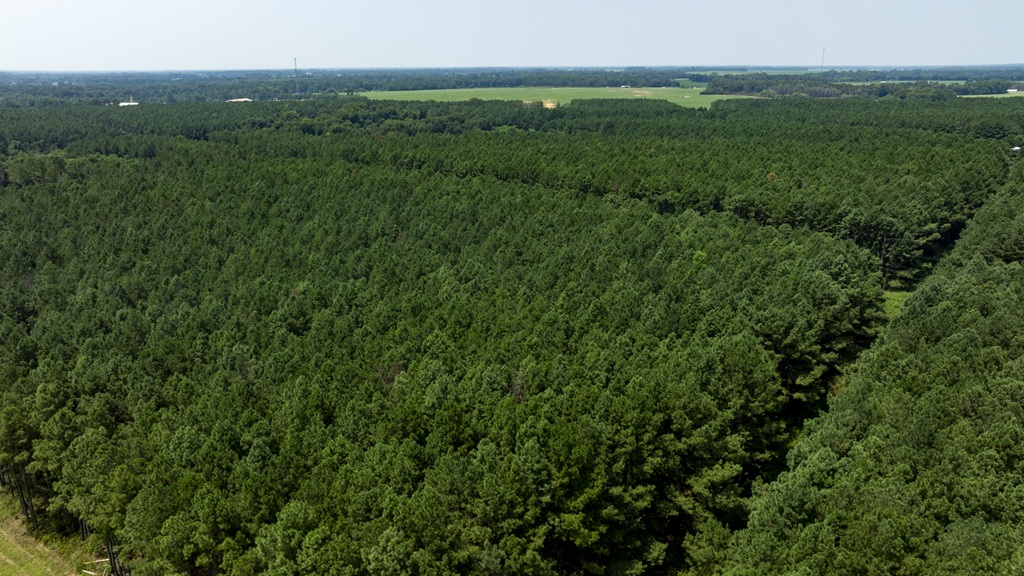 Countyline Road Photo