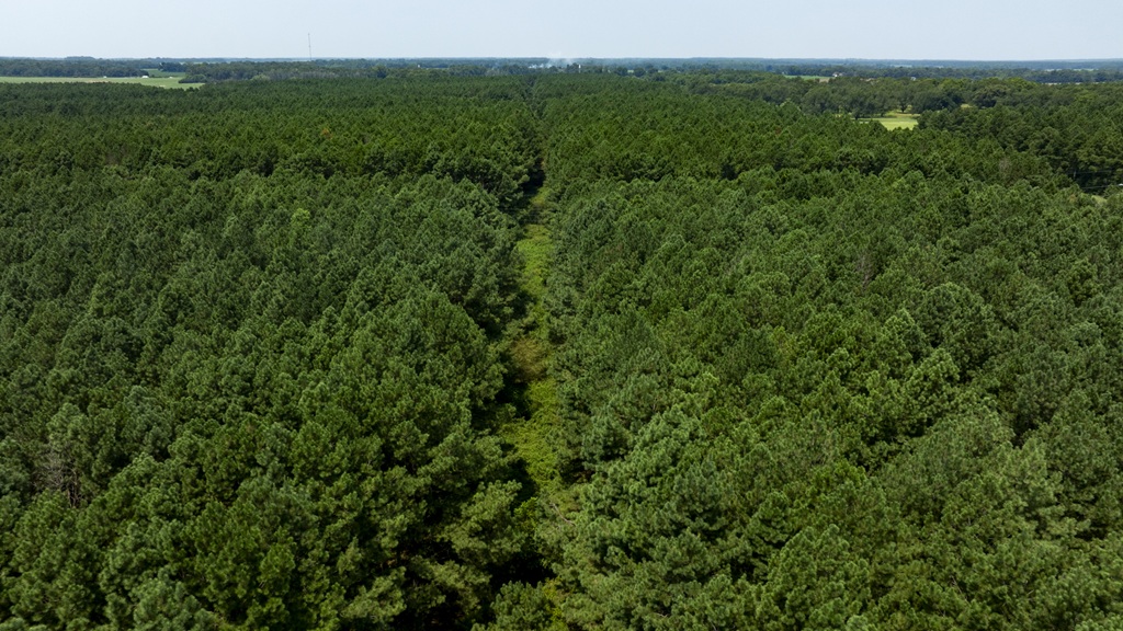 Countyline Road Photo