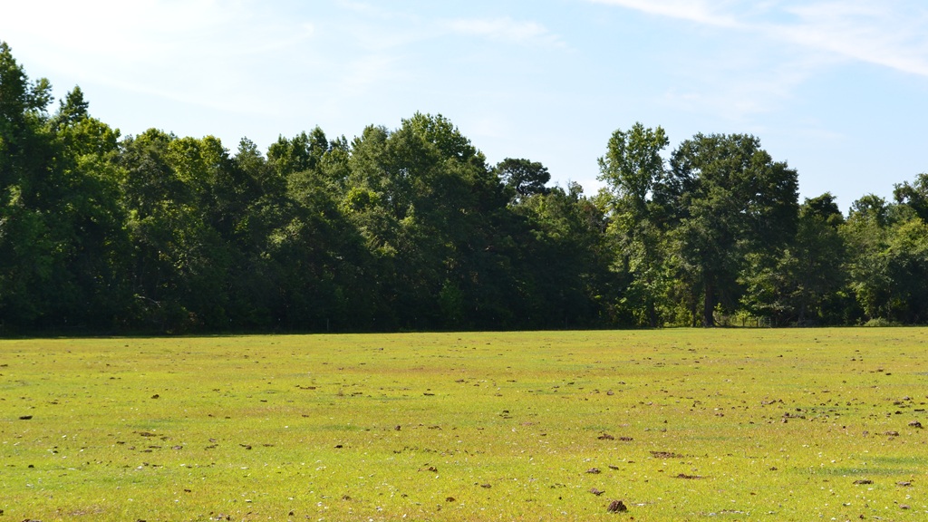 Little Long Creek Farm Main Photo