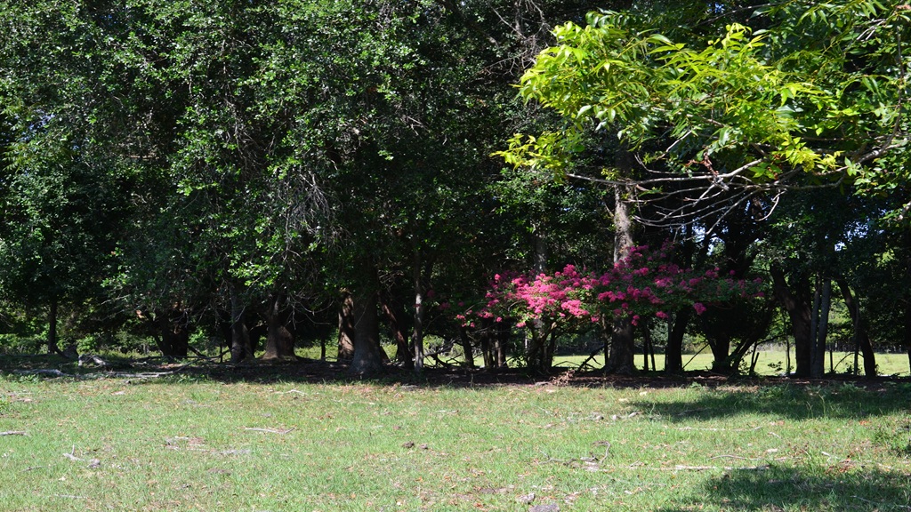 Little Long Creek Farm Photo