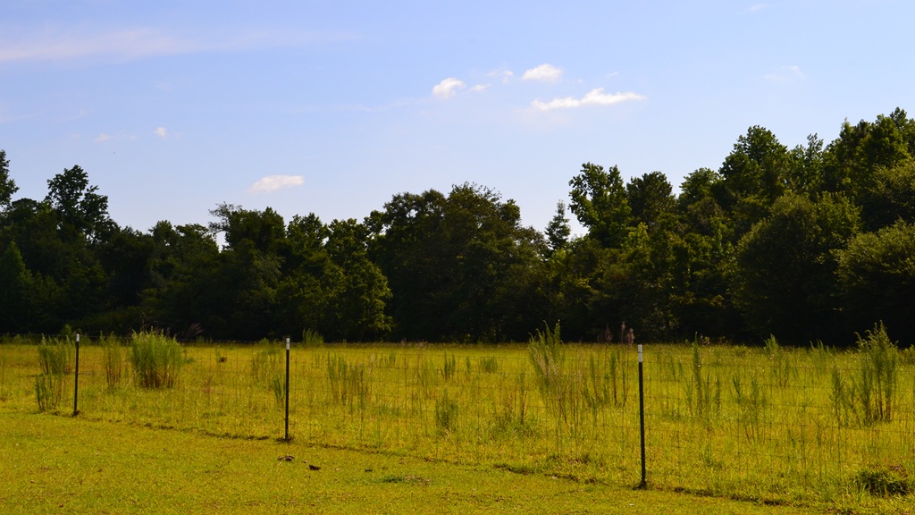 Little Long Creek Farm Photo