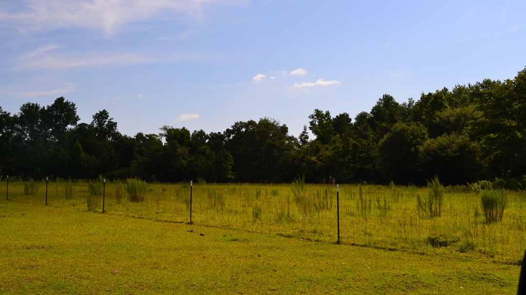 Little Long Creek Farm Photo