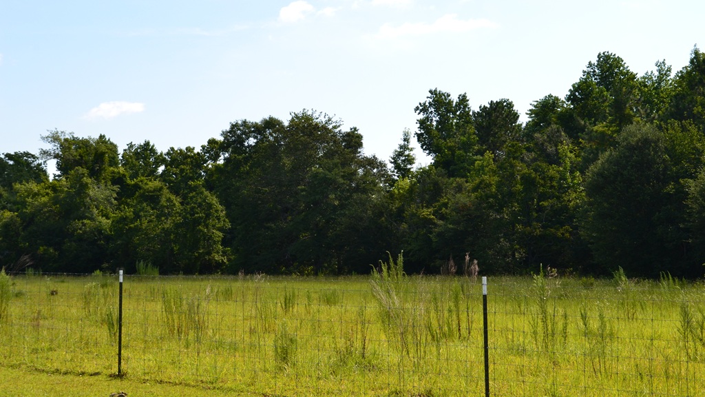Little Long Creek Farm Photo