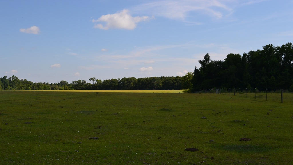 Little Long Creek Farm Photo