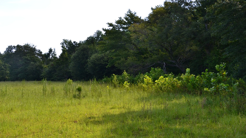 Little Long Creek Farm Photo