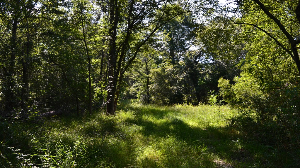 Little Long Creek Farm Photo