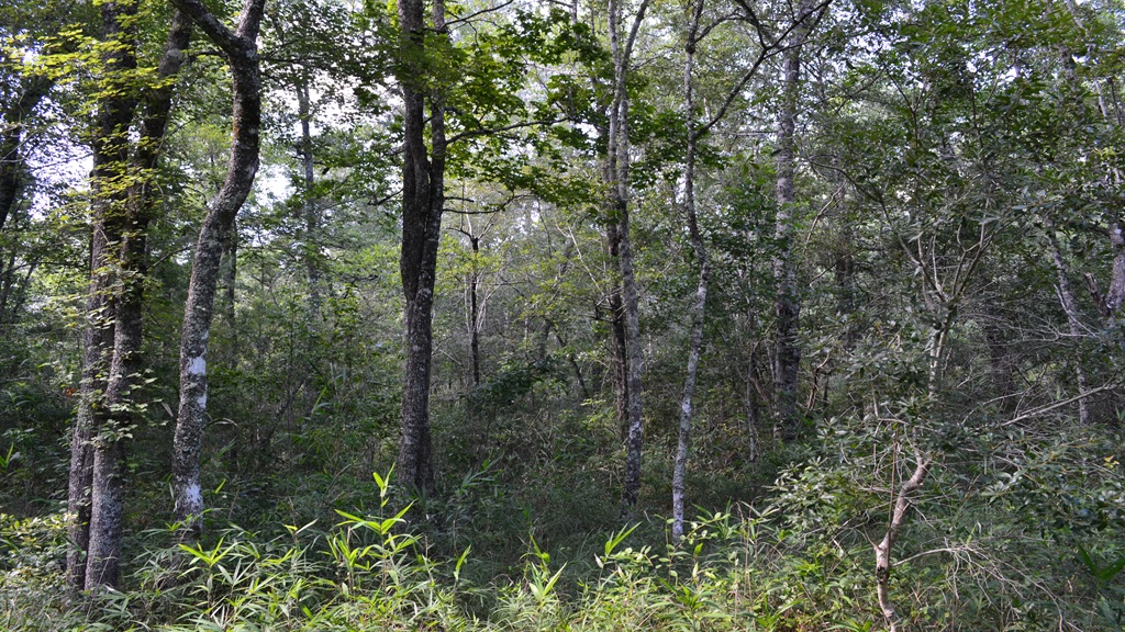 Little Long Creek Farm Photo